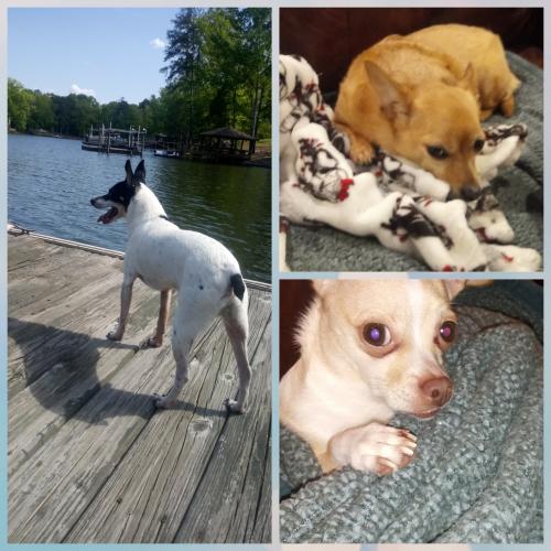 CYMERA_20200517_2107431