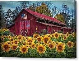 FB_IMG_1599693342955