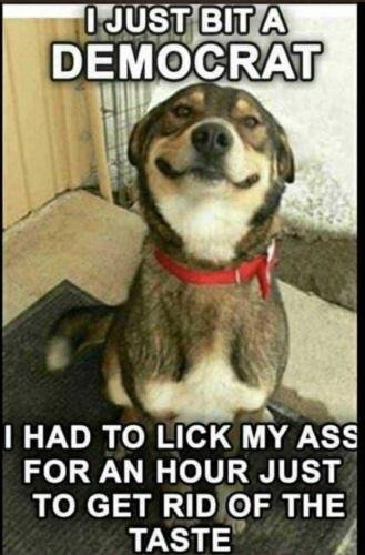 202008300945-BT9vH0vDkg