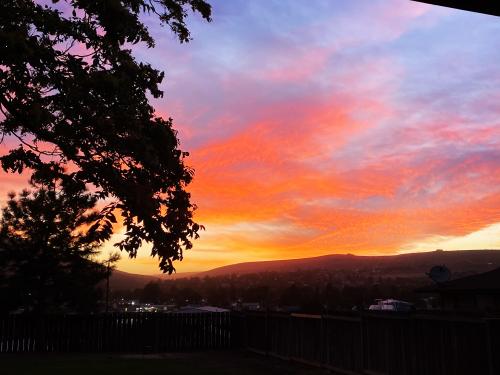 51D76C43-2B62-4694-9E89-FF5E46E09CED