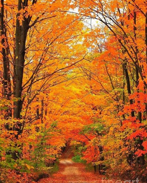 6bf249f884596f6d92c4ff018882dd7c