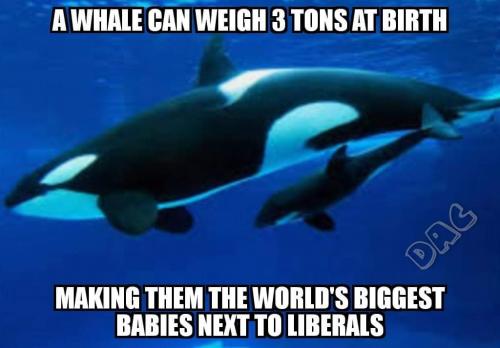 120298357_10221095800896648_6720066754337529883_o