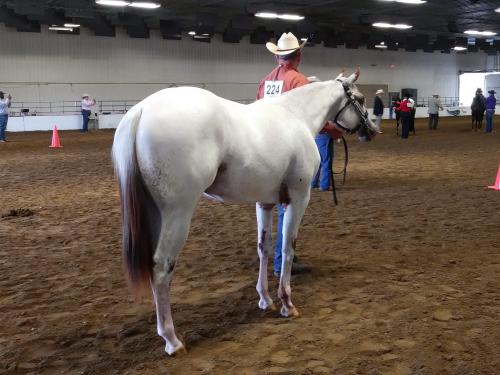 received_366338447726684