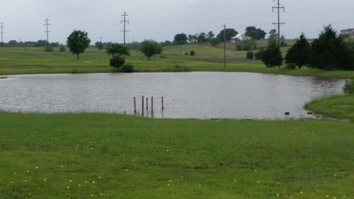 66279769_3138988686113031_6823187773176938496_o