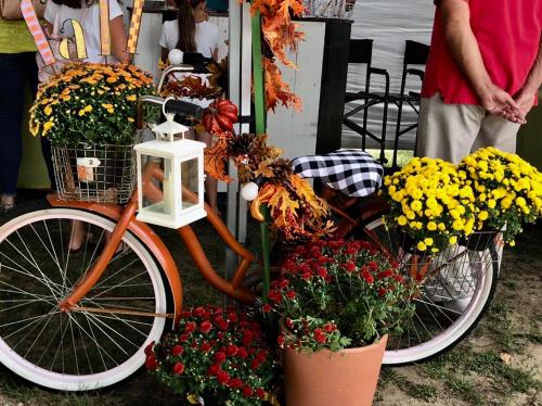 3EF91843-BF51-40C4-9AC5-5D1D5F96D9B1