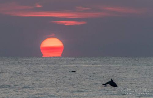 FB_IMG_1531573702865