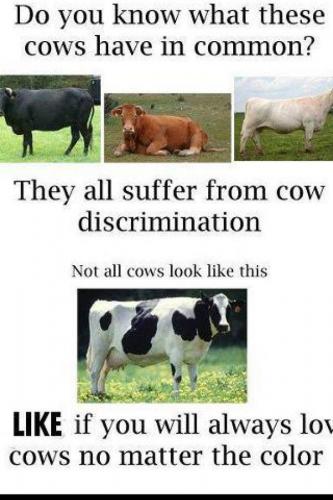 cow descrimination