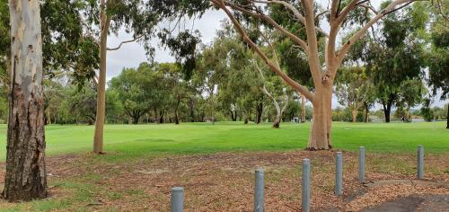 MEDIA_20200215_135510