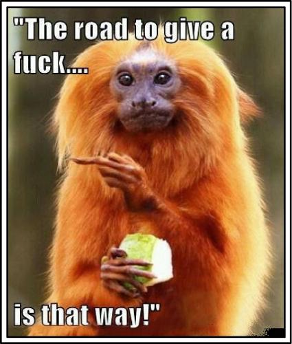 The Road to Give a Fuck