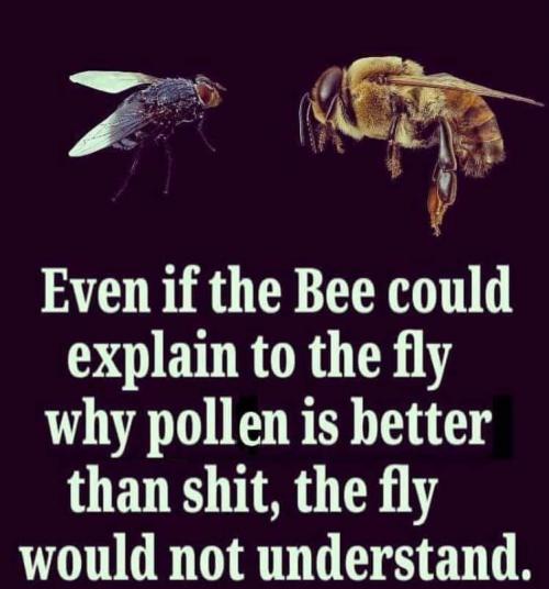 FB_IMG_1599495337427