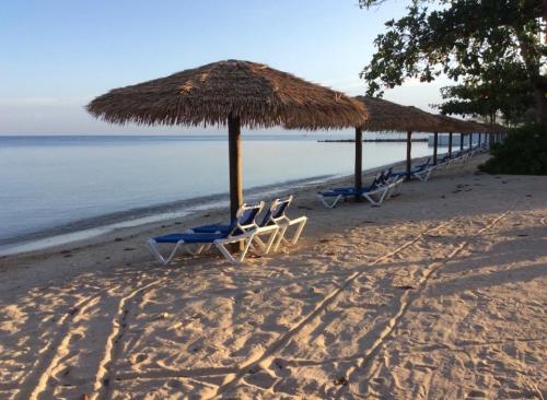 D4737804-1F76-4323-8DAA-1A313BF32501