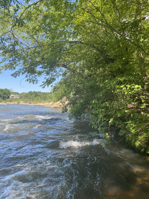 99B4779E-D06E-4943-8070-27FD83542EA7