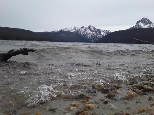 97117344_242647207151789_6597125360712679424_n