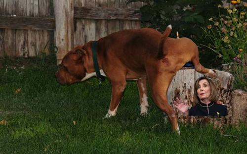 result_1596388415725