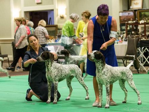 FB_IMG_1589307488113