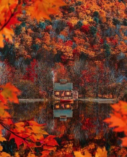 FB_IMG_1599442035668