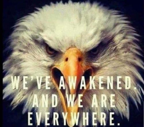 FB_IMG_1600262391121