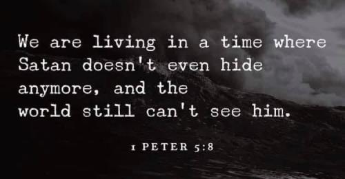 119613571_10224432748632209_4432105659337589603_n
