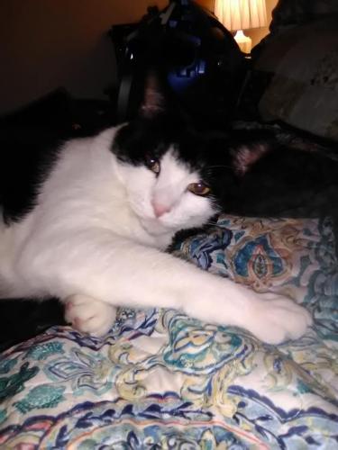 104414508_2884973261613426_7404177756118937408_n