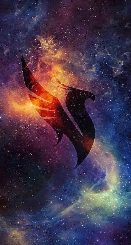 FB_IMG_1595985436419