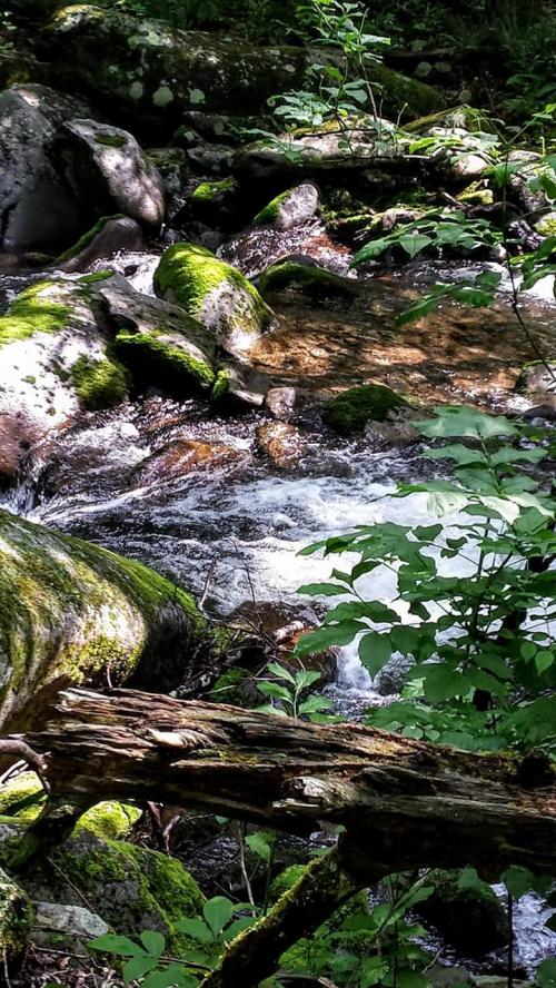 FB_IMG_1590016157162