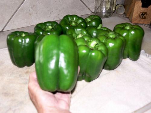 GreenPeppers_2