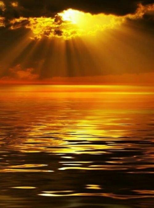 e1bcf1051048b2d4da5917f9d42f9e72