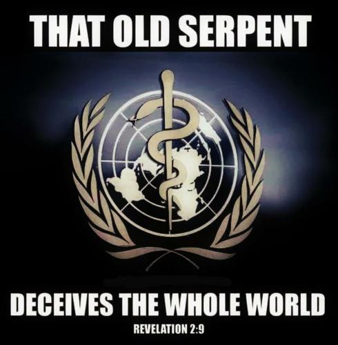 Screenshot_20200911-180145_WhatsApp