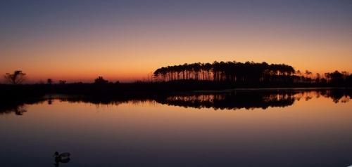 End of Duck Season 2010-2011 009