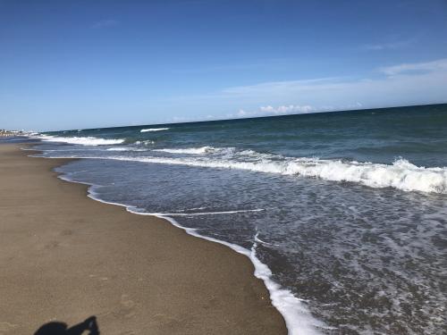 5ED52399-2C52-41AF-9406-7BE182C72766