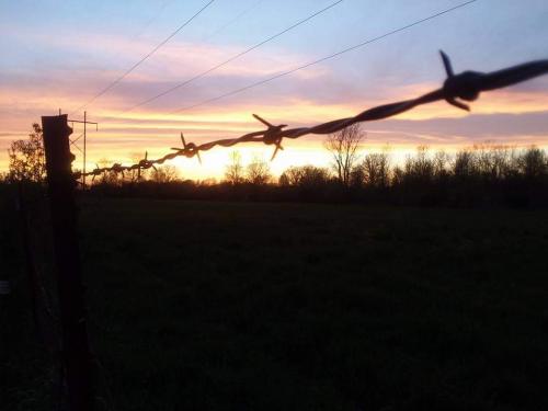 FB_IMG_1599761163596