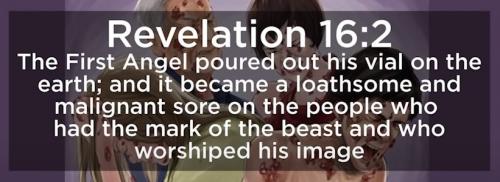 101986601_343316076645374_8773187244358893568_n