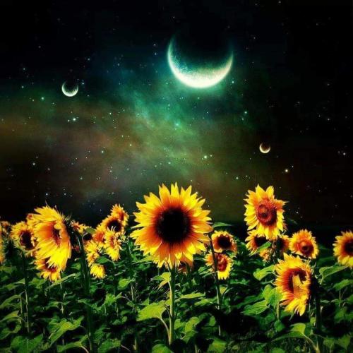 FB_IMG_1599877258470