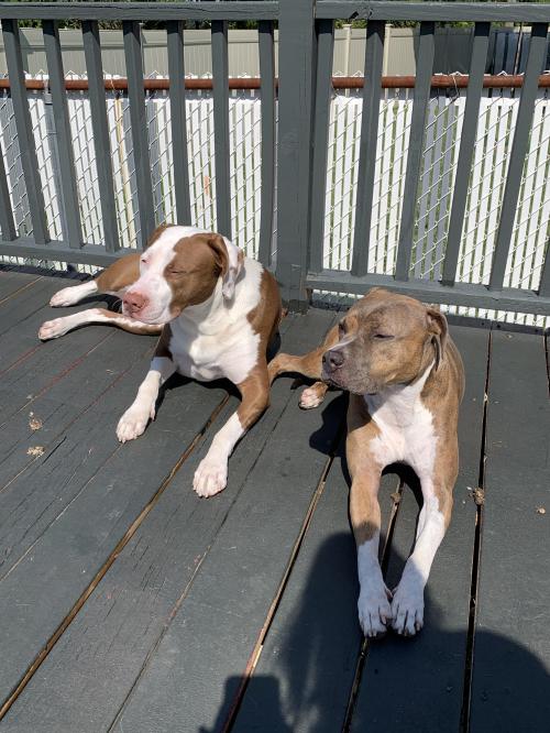 F61A2DC5-D510-42F7-9EDB-78B621E4353E