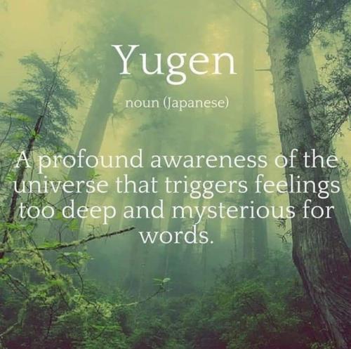 FB_IMG_1600254015241