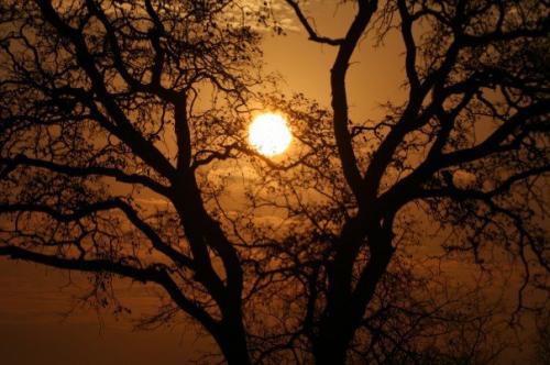 227041_6366205285_8646_n