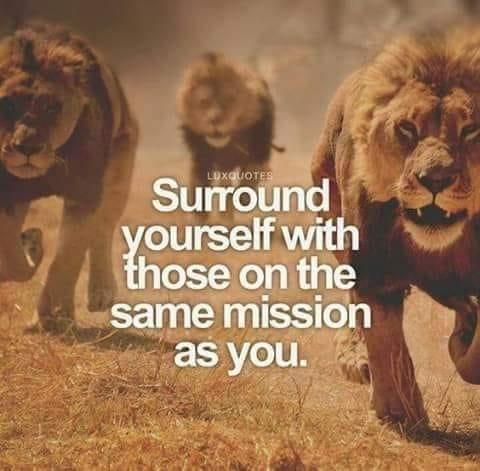 5CDAA04D-04EB-4F8D-B1D4-1E4A7F8C0E26