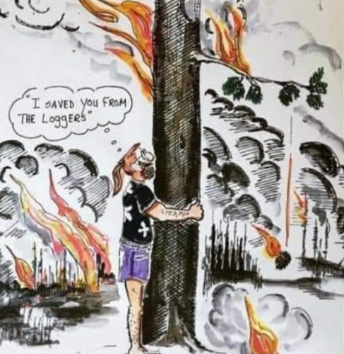 118997946_1222809411424240_6432867310215438766_n