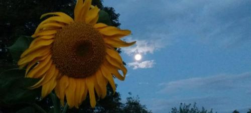 inbound4092137697807503262