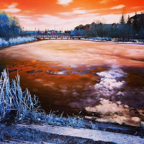 IMG_20200502_122446_262