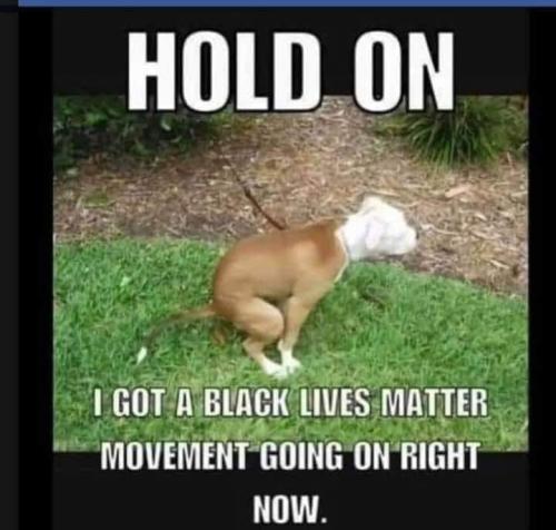 FB_IMG_1598577418814