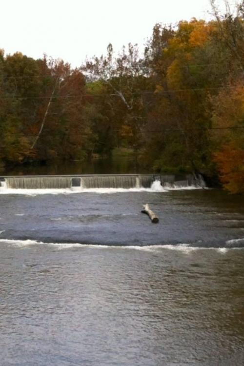 inbound1241738737710146444