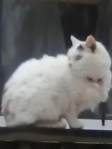 86426429_2578539455590143_7101384701998268416_o