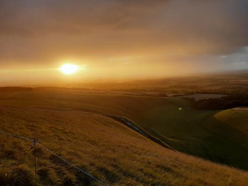 120038273_653425438916092_7994147085122237654_n