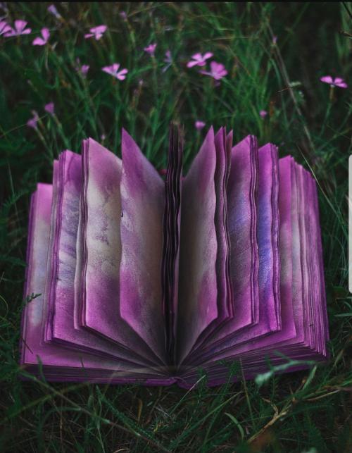 result_1598968993525