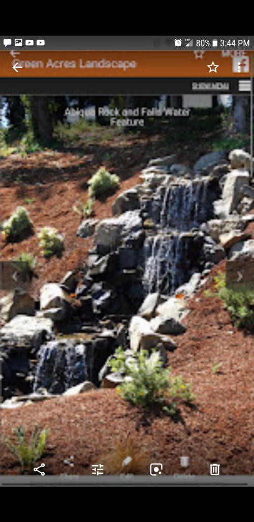 Screenshot_20200708-133619_Photos