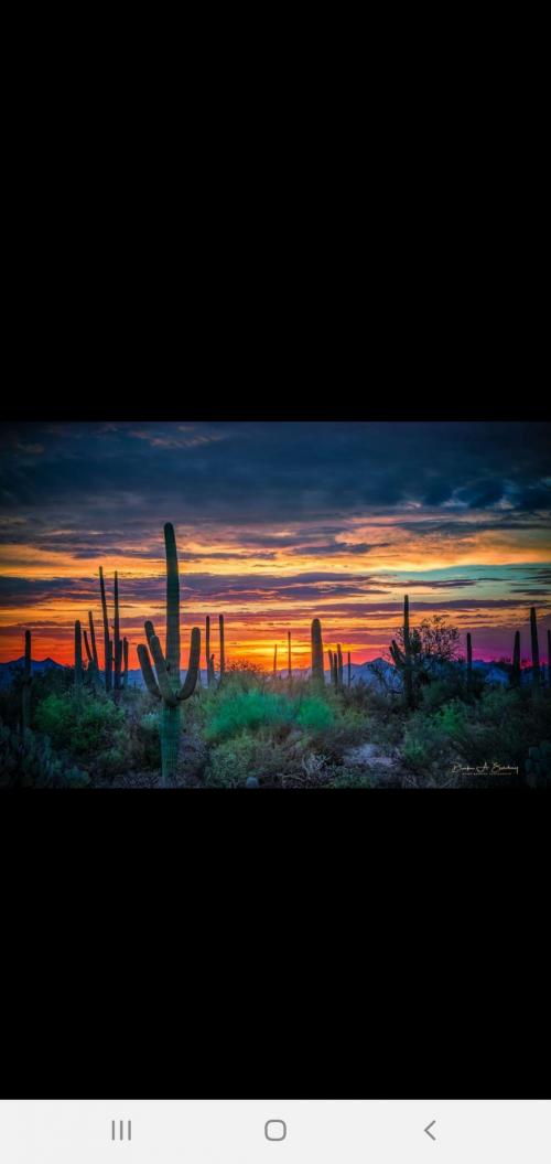 Screenshot_20200919-085617_Wimkin