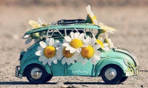 Screenshot_20200828-152148_Facebook