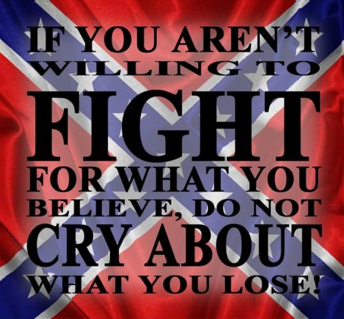 COVER_IMAGE8477114520438737160