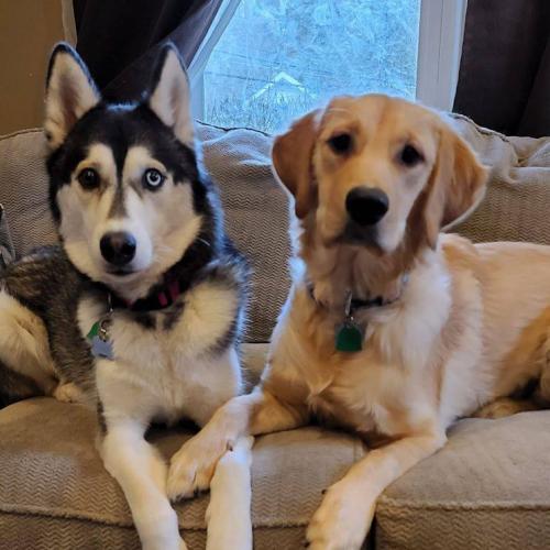 104806019_763235461152812_4016141259120553618_n